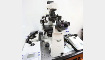 NICON Microscope Ti & Eppendorf Micromanipulator 이미지